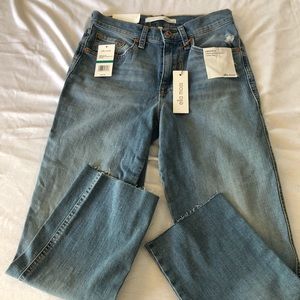 NWT Ella Moss high waist Jeans Size 24